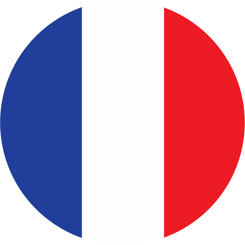 Bandeira representando o idioma francês